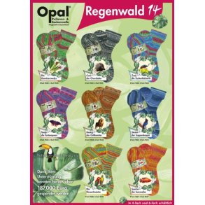 Opal Regenwald 14