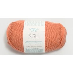 Sandnes SISU  - Udget