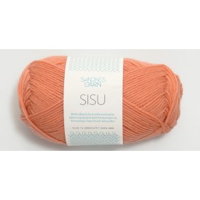 Sandnes SISU  - Udget