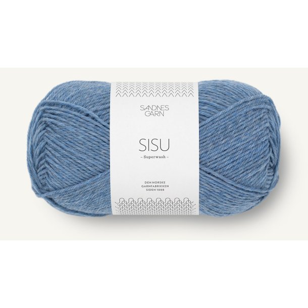 Sandnes SISU - Udget