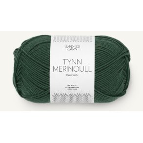 Sandnes Tynn Merinoull.