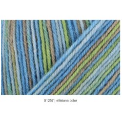 Regia Water Lily Color 