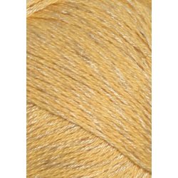 Sandnes Tynn Line  - Udget