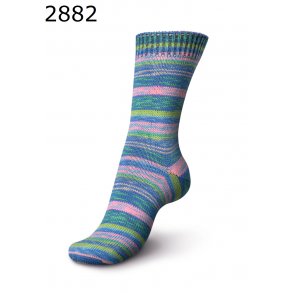 Regia Festival Color.