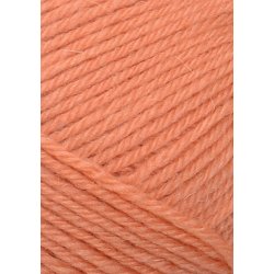 Sandnes SISU  - Udget