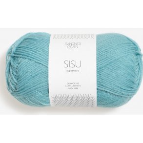 Sandnes SISU - Udget