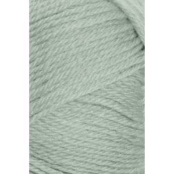 Sandnes SISU - Udget