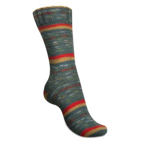 Regia Celebration Color