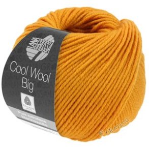 Lana Grossa Cool Wool Big