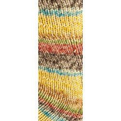 Lana Grossa Meilenweit 100 Action 