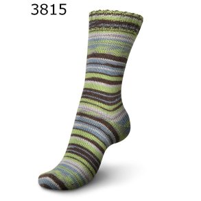 Regia Spring Fling Color 