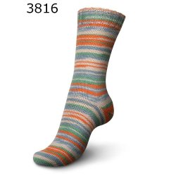 Regia Spring Fling Color 