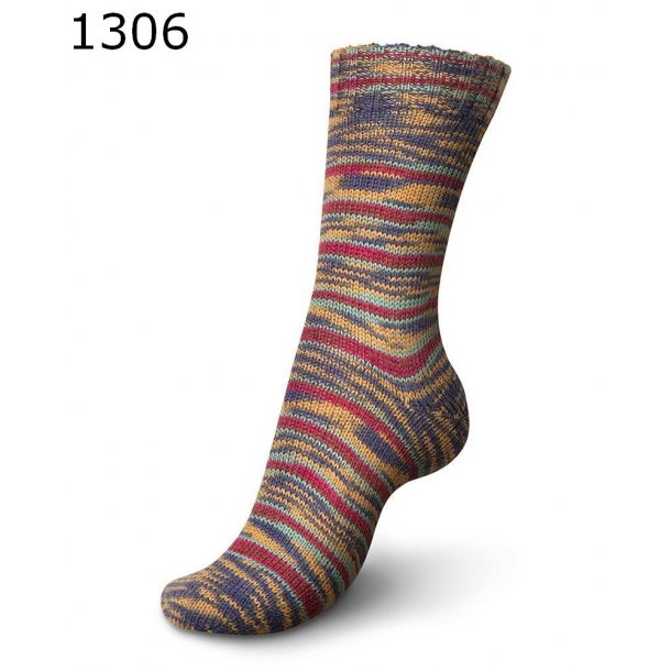 Regia Wellnes Color 