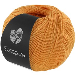 Setapura